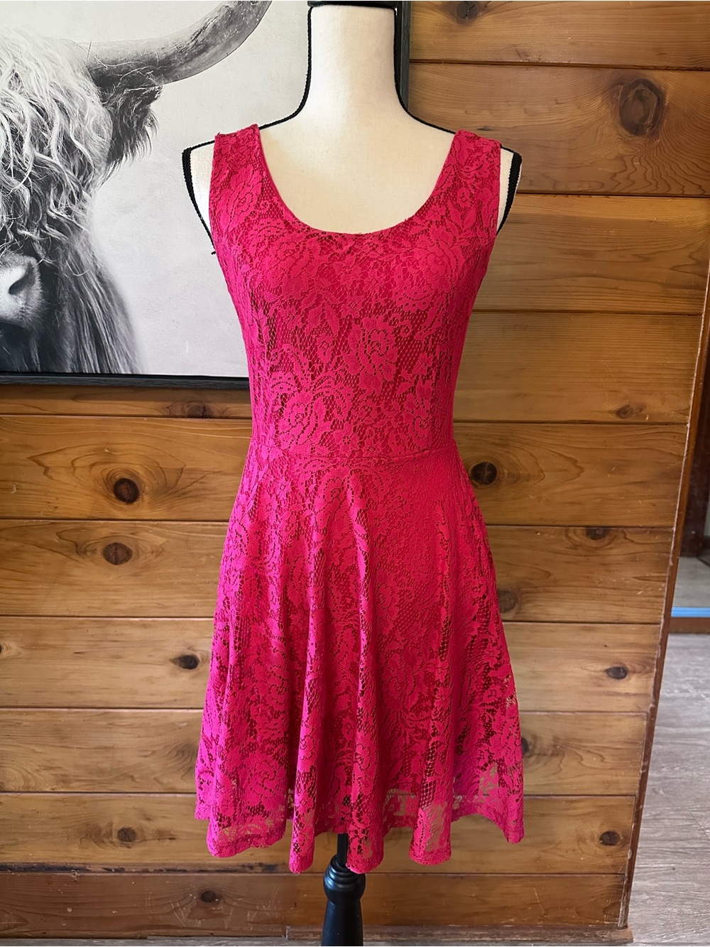 NWOT Robin-K Pink Lace Midi Dress